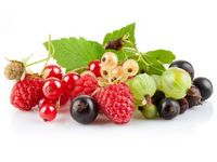 /fruits-berries/