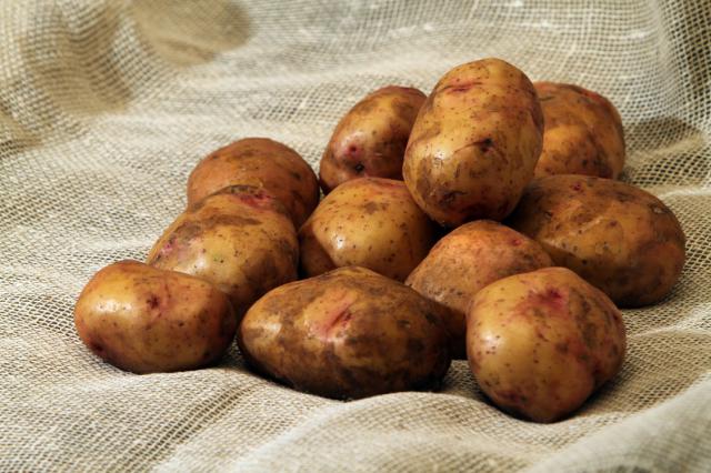 Вымытый картофель на мешковине