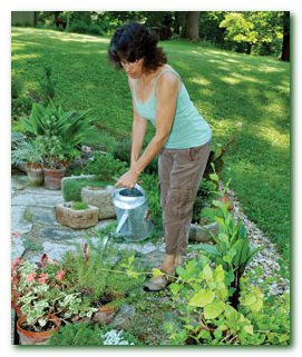 полив огорода, как поливать огород, стоит ли поливать огород, полив огорода 
