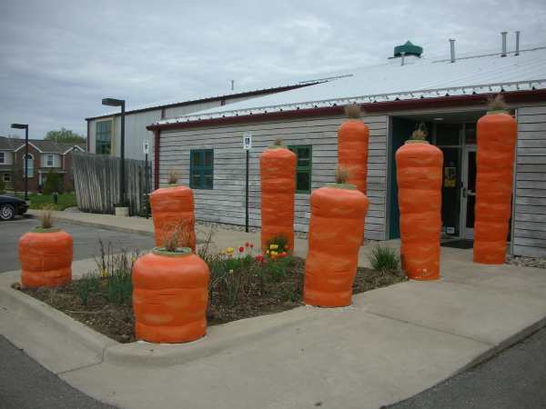 Морковки перед входом в продовольственный фонд для безработных, город Энн-Арбор, штат Мичиган, США