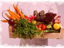 способы классификации овощей, овощные растения, классификация овощей, перец, баклажан, картофель, физалис, томат