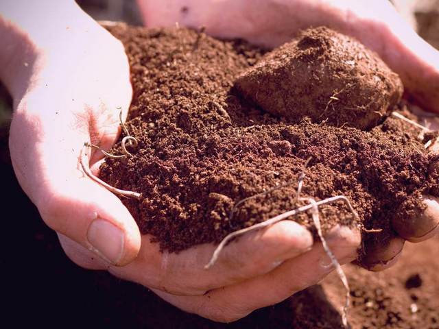 Виды почвы и её состав