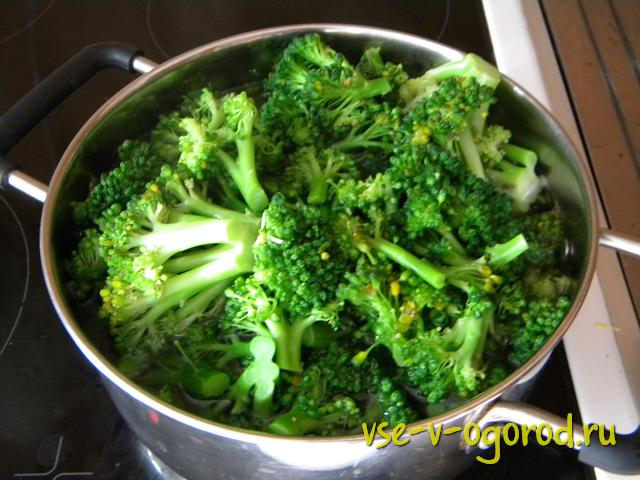 брокколи в кляре, закуска овощная, закуска из овощей, капуста брокколи