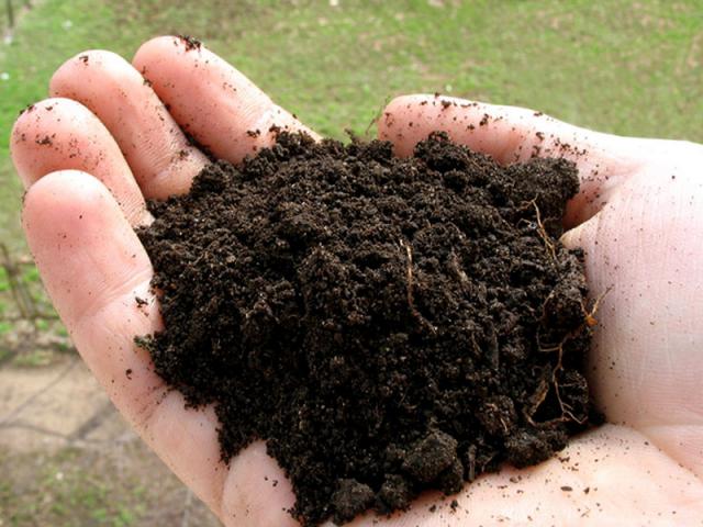 Самостоятельная подготовка почвы для рассады