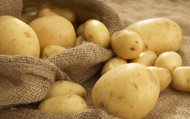 Как вырастить ранний урожай картофеля?