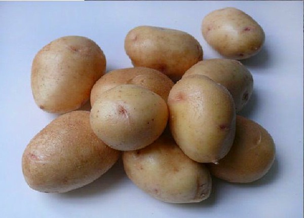 Как вырастить ранний картофель?