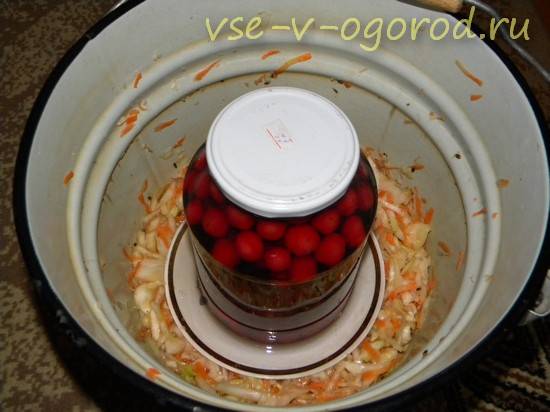   ! vse-v-ogorod.ru