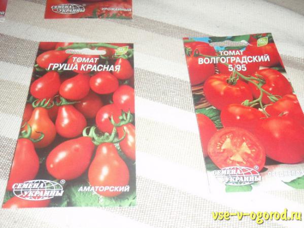 покупка семян, овощные растения, подготовка семян томатов