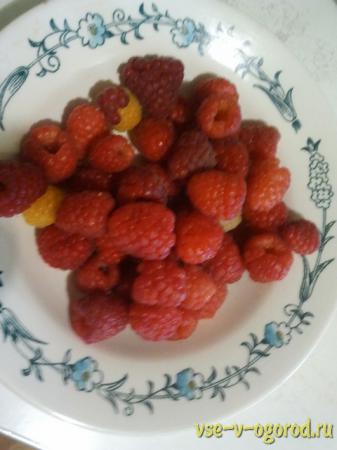малина,тарелка,ягоды,raspberries, a plate, berries