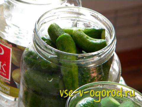 Рецепты засолки овощей